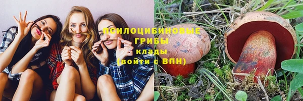 Альфа ПВП Мегион
