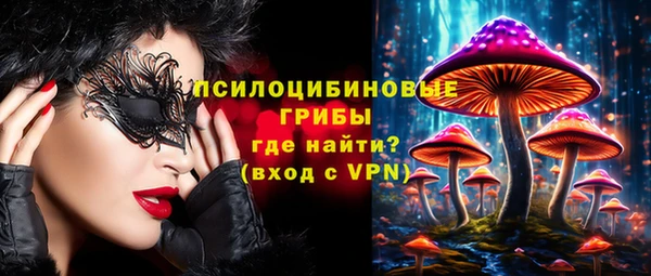 первитин Медвежьегорск