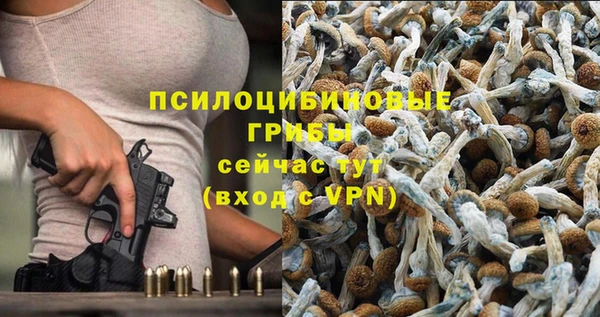 трава Михайловка