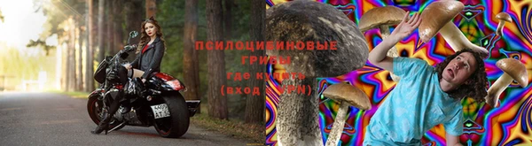 трава Михайловка